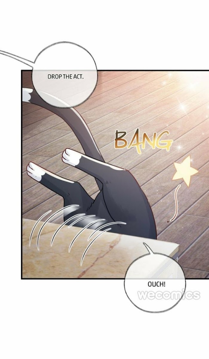 Read Pay Me Back, Mr. Cat chapter 2 image 24 on Lezhin