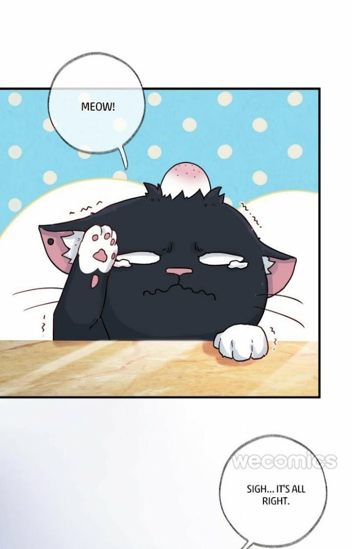 Read Pay Me Back, Mr. Cat chapter 2 image 25 on Lezhin