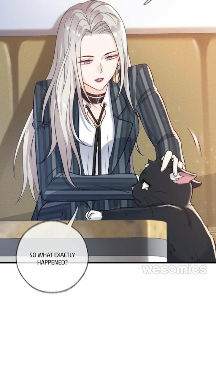 Read Pay Me Back, Mr. Cat chapter 2 image 26 on Lezhin