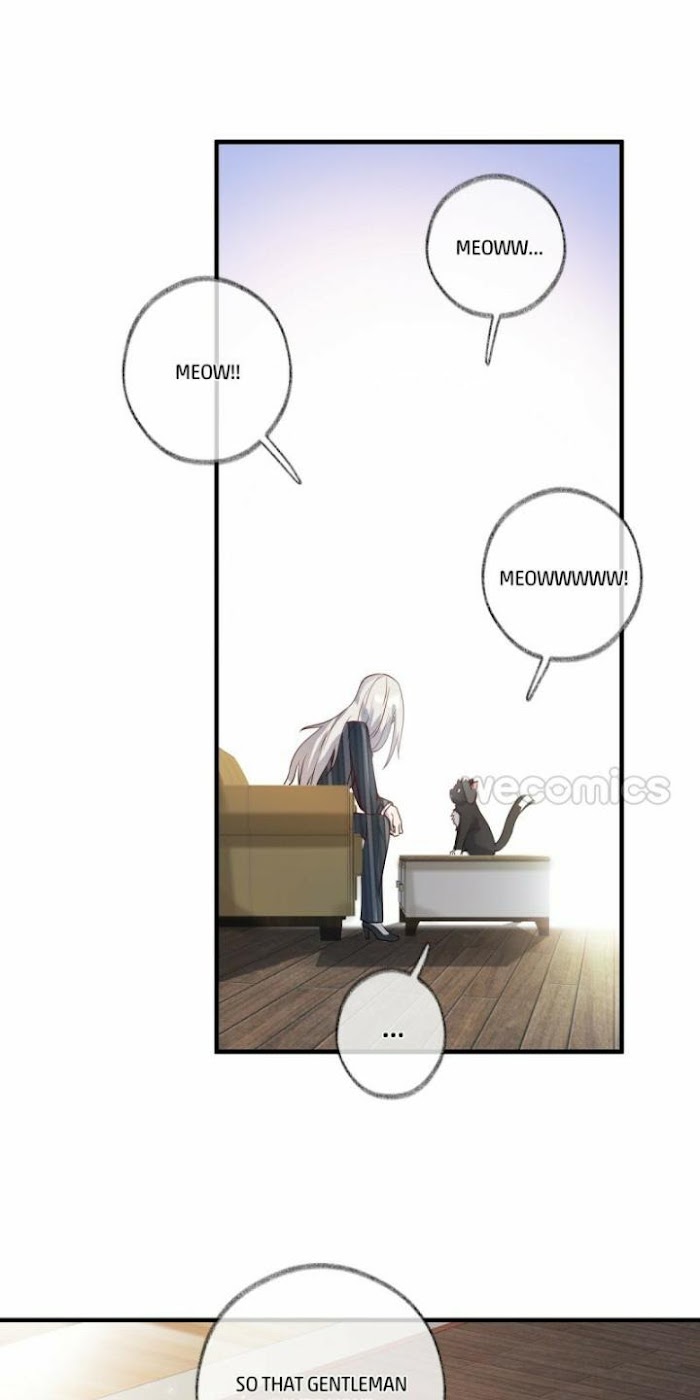 Read Pay Me Back, Mr. Cat chapter 2 image 27 on Lezhin