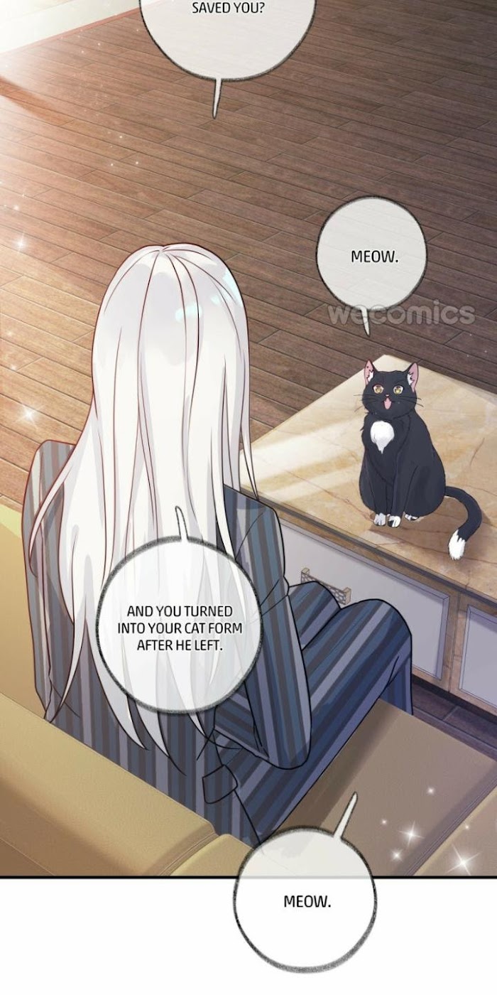 Read Pay Me Back, Mr. Cat chapter 2 image 28 on Lezhin