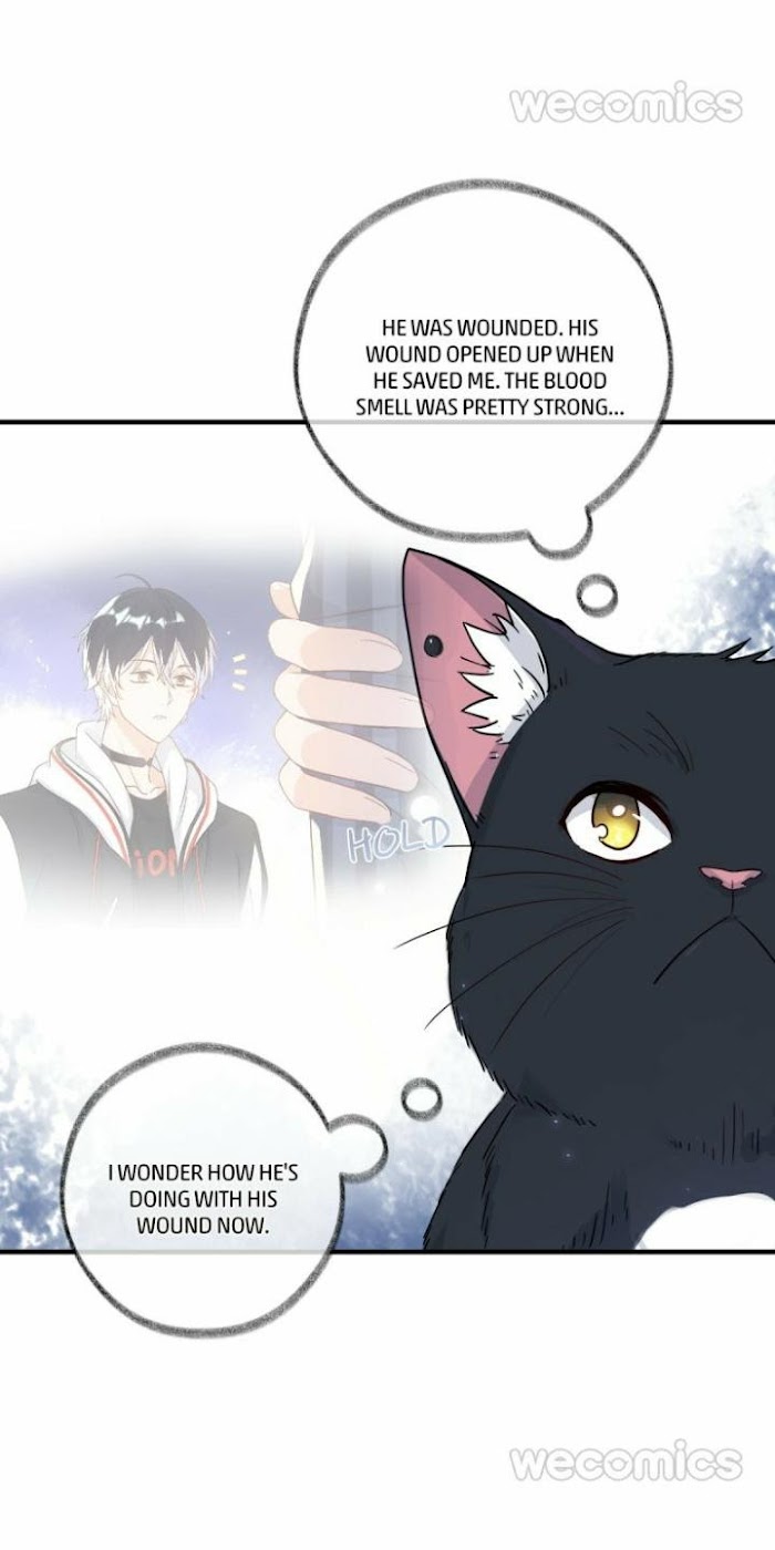 Read Pay Me Back, Mr. Cat chapter 2 image 29 on Lezhin