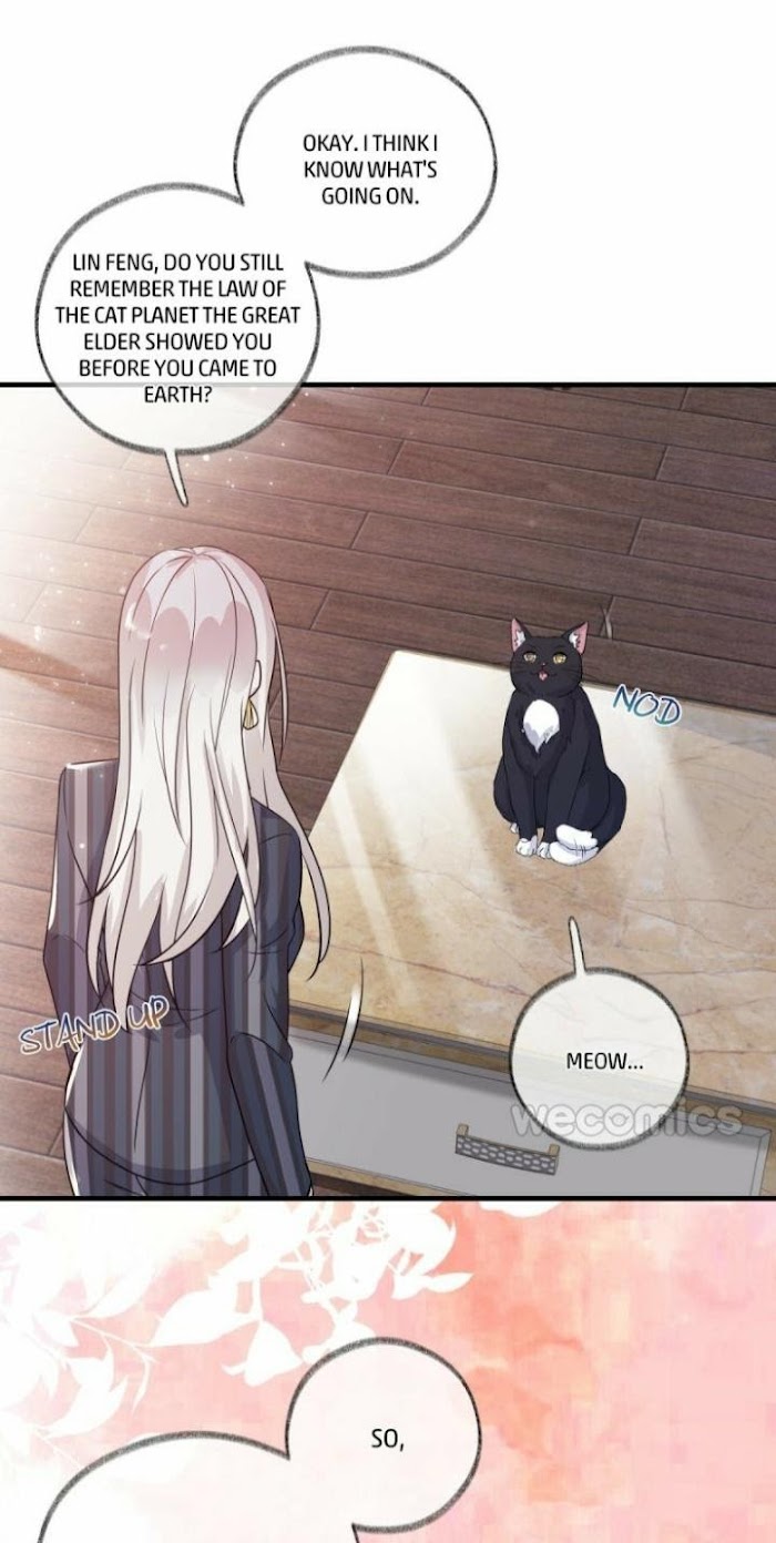 Read Pay Me Back, Mr. Cat chapter 2 image 30 on Lezhin