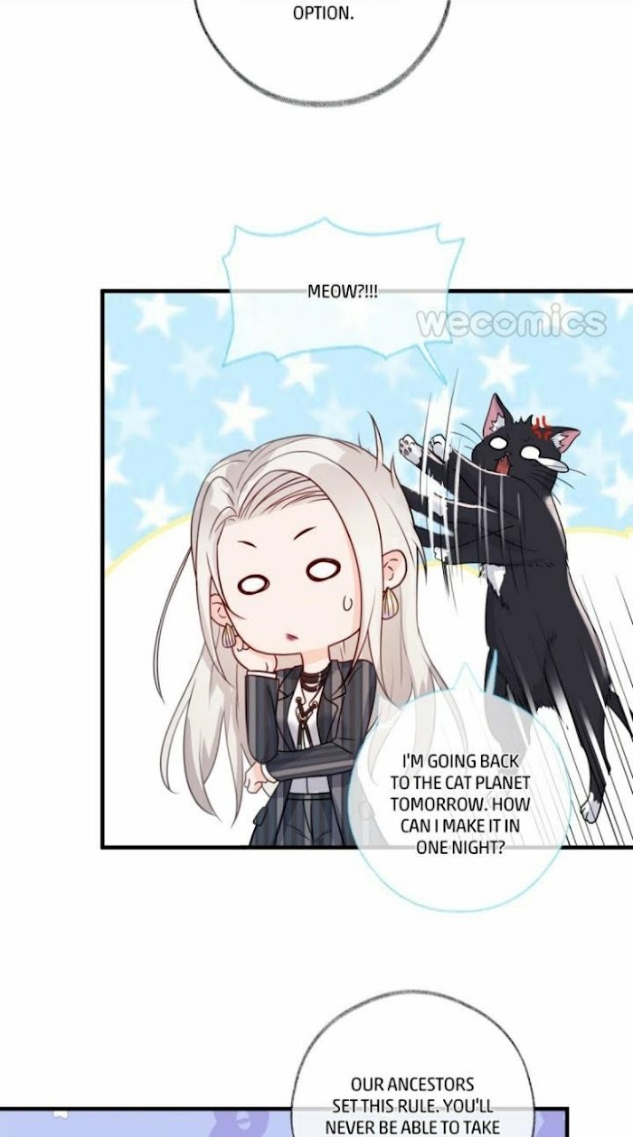 Read Pay Me Back, Mr. Cat chapter 2 image 32 on Lezhin