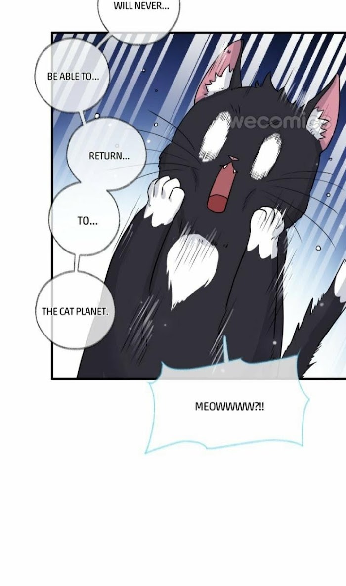 Read Pay Me Back, Mr. Cat chapter 2 image 35 on Lezhin