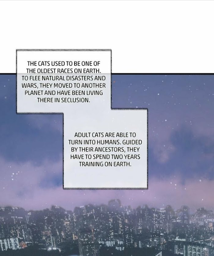 Read Pay Me Back, Mr. Cat chapter 2 image 37 on Lezhin