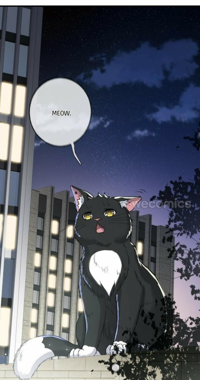 Read Pay Me Back, Mr. Cat chapter 2 image 53 on Lezhin