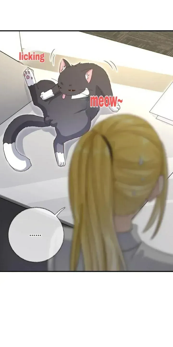 Read Pay Me Back, Mr. Cat chapter 20.2 image 24 on Lezhin
