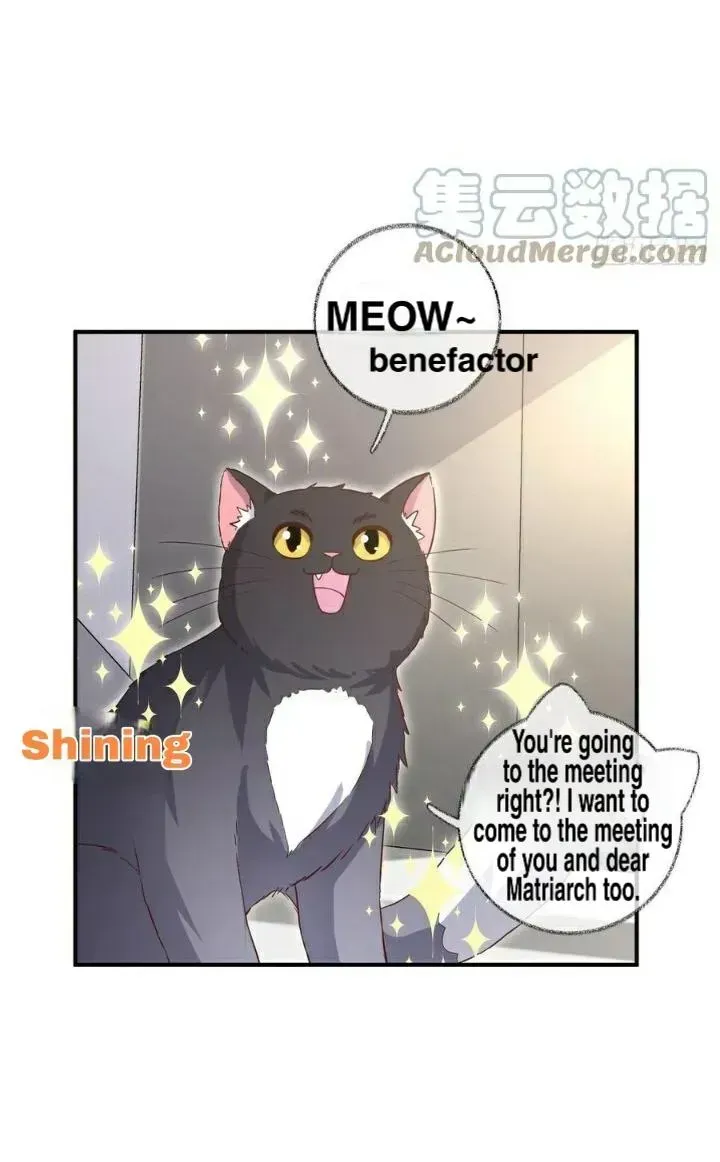 Read Pay Me Back, Mr. Cat chapter 20.2 image 25 on Lezhin