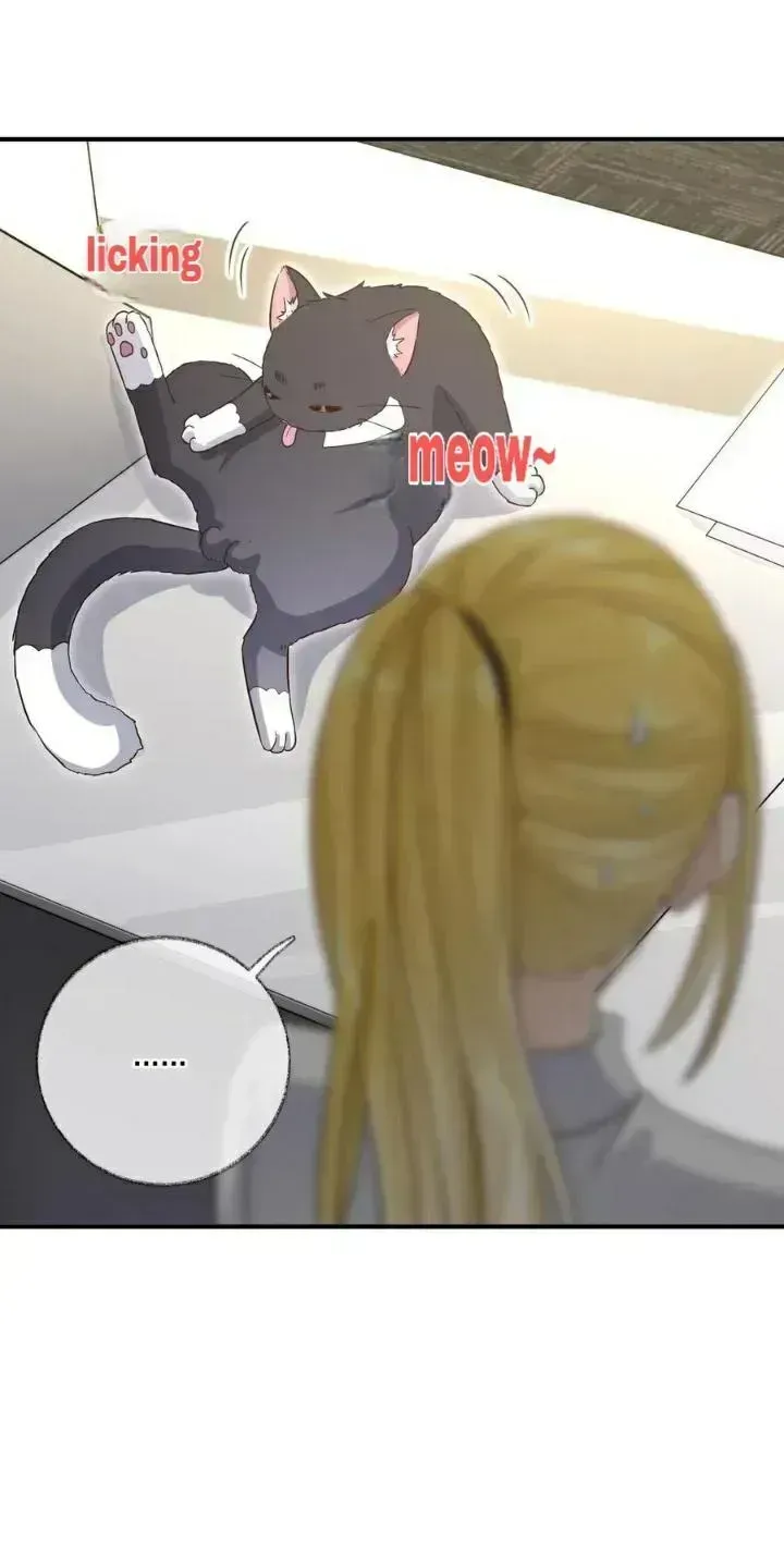 Read Pay Me Back, Mr. Cat chapter 20.3 image 24 on Lezhin
