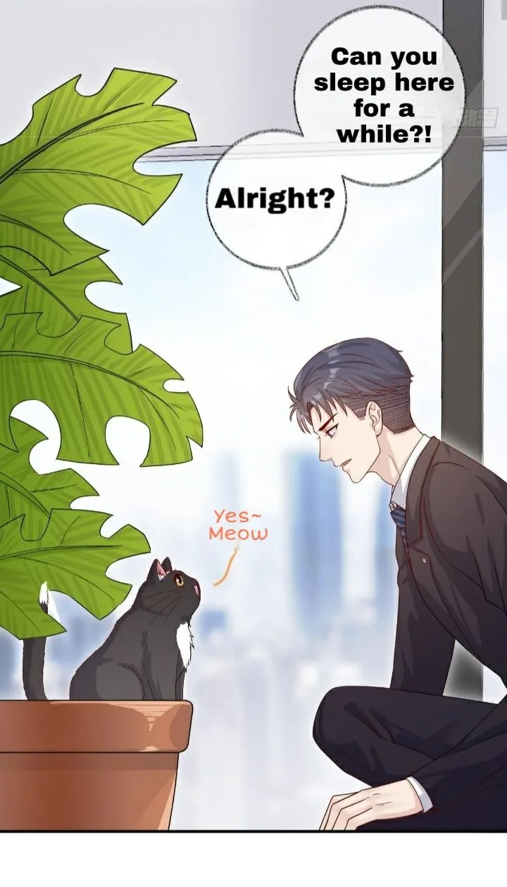 Read Pay Me Back, Mr. Cat chapter 20.99 image 3 on Lezhin