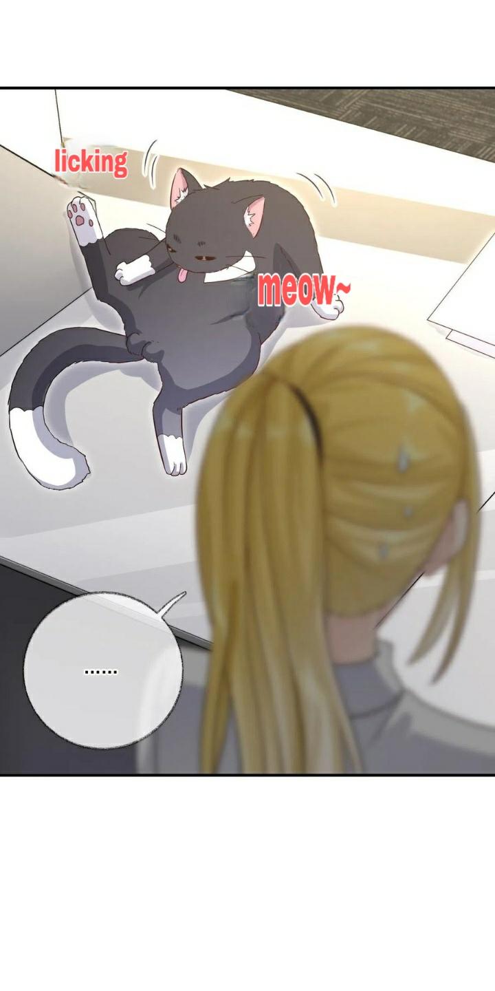 Read Pay Me Back, Mr. Cat chapter 20 image 21 on Lezhin