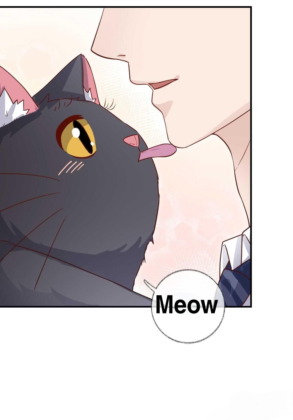 Read Pay Me Back, Mr. Cat chapter 20 image 26 on Lezhin