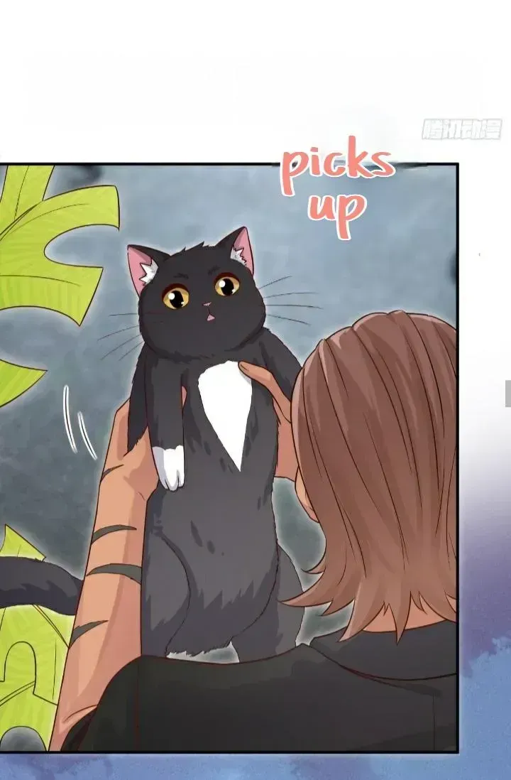 Read Pay Me Back, Mr. Cat chapter 21.2 image 17 on Lezhin