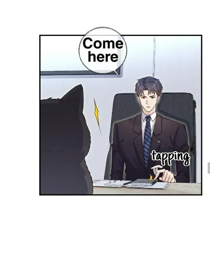 Read Pay Me Back, Mr. Cat chapter 21.2 image 25 on Lezhin