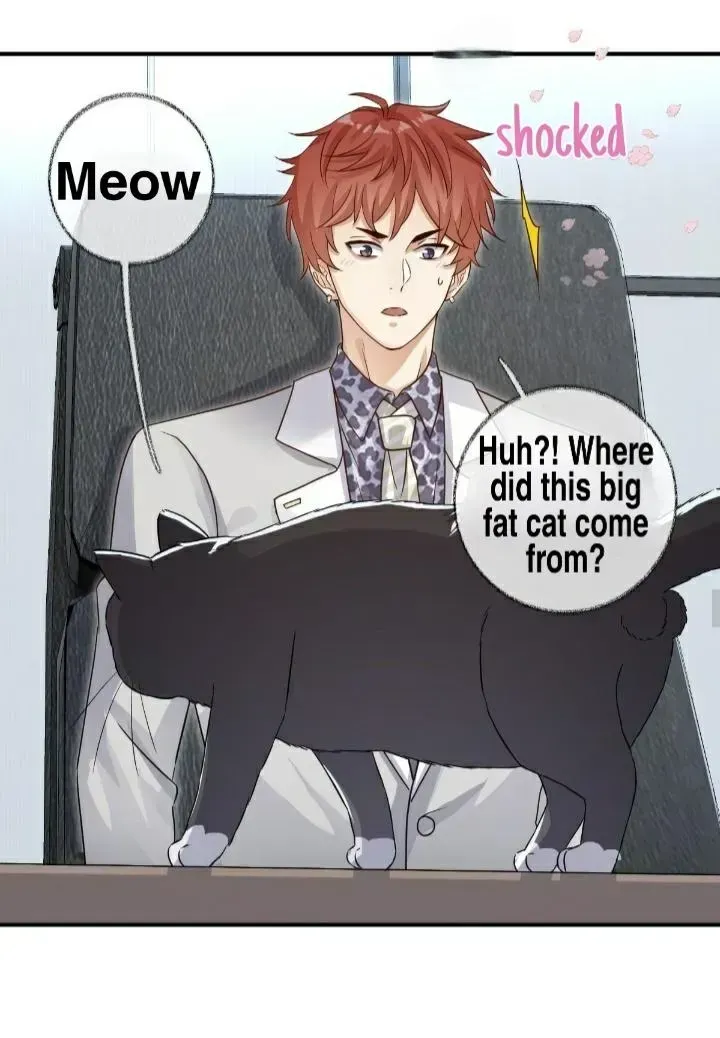 Read Pay Me Back, Mr. Cat chapter 21.2 image 27 on Lezhin