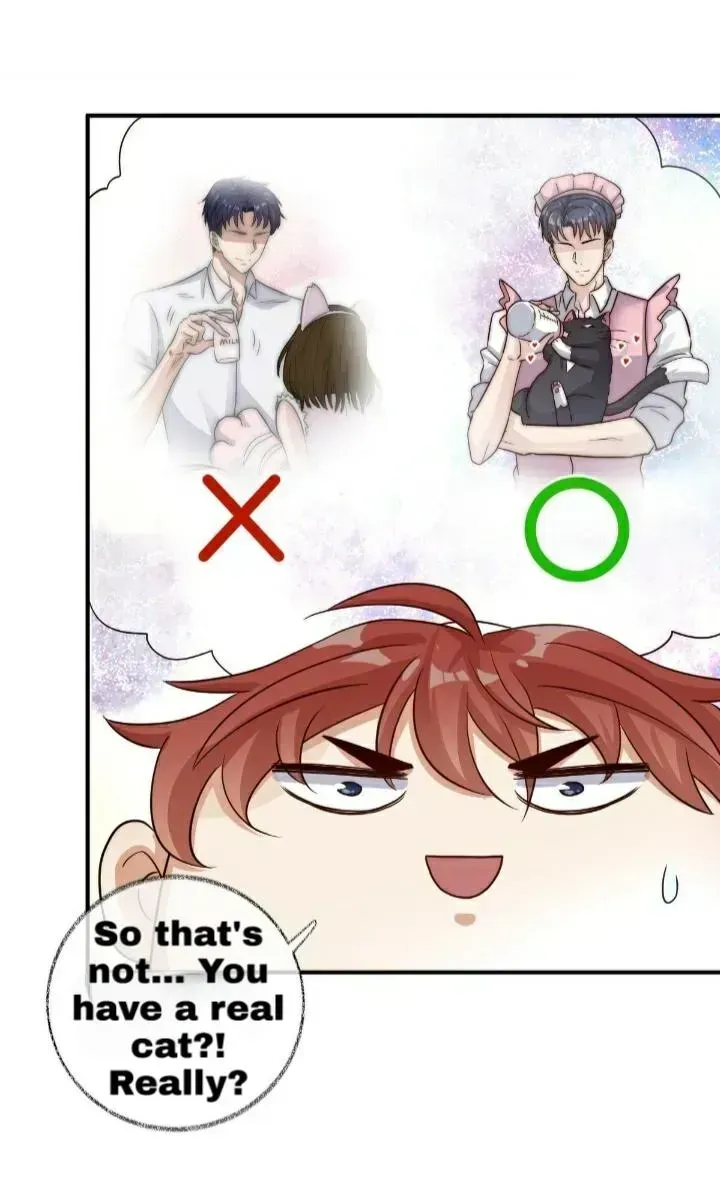 Read Pay Me Back, Mr. Cat chapter 21.3 image 30 on Lezhin