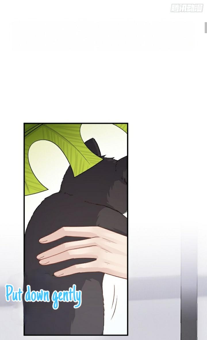 Read Pay Me Back, Mr. Cat chapter 21 image 2 on Lezhin