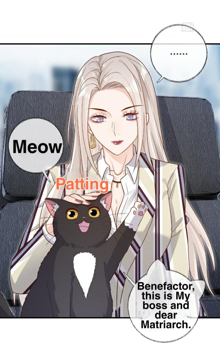 Read Pay Me Back, Mr. Cat chapter 21 image 21 on Lezhin