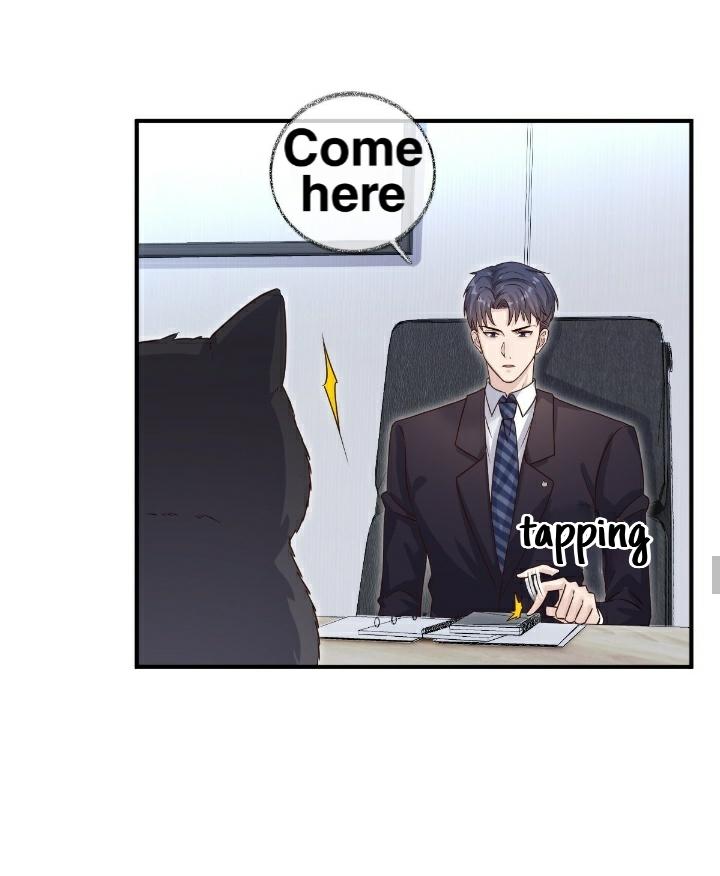Read Pay Me Back, Mr. Cat chapter 21 image 25 on Lezhin