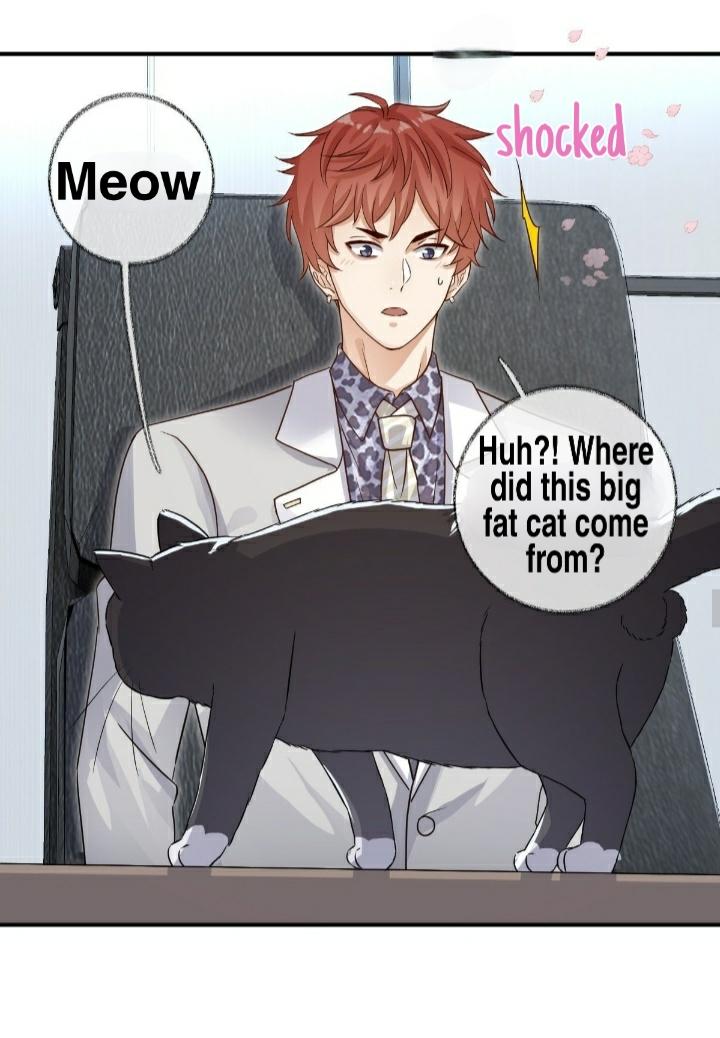 Read Pay Me Back, Mr. Cat chapter 21 image 27 on Lezhin