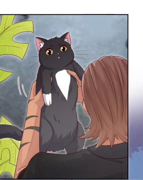 Read Pay Me Back, Mr. Cat chapter 22.1 image 14 on Lezhin