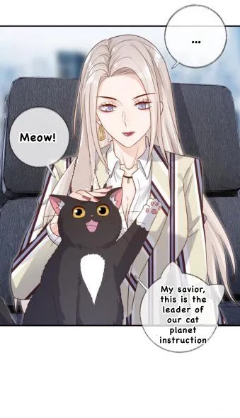 Read Pay Me Back, Mr. Cat chapter 22.1 image 18 on Lezhin
