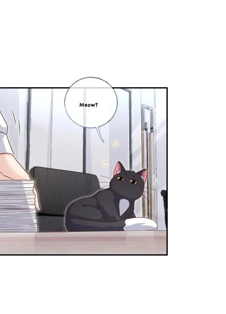 Read Pay Me Back, Mr. Cat chapter 22.99 image 12 on Lezhin