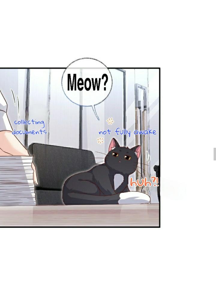 Read Pay Me Back, Mr. Cat chapter 22 image 13 on Lezhin