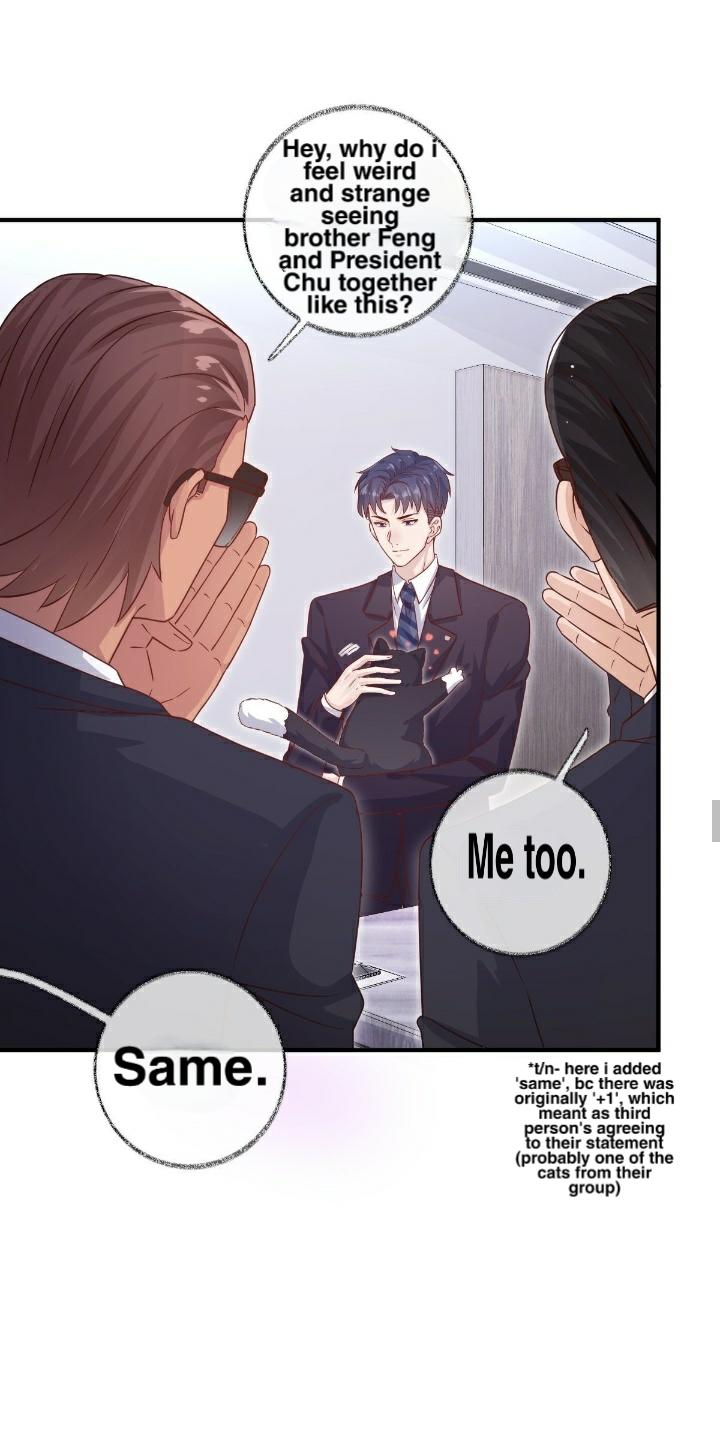 Read Pay Me Back, Mr. Cat chapter 22 image 23 on Lezhin