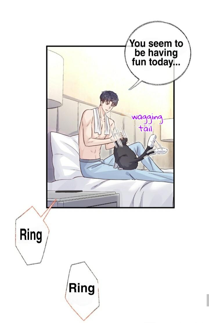 Read Pay Me Back, Mr. Cat chapter 22 image 30 on Lezhin