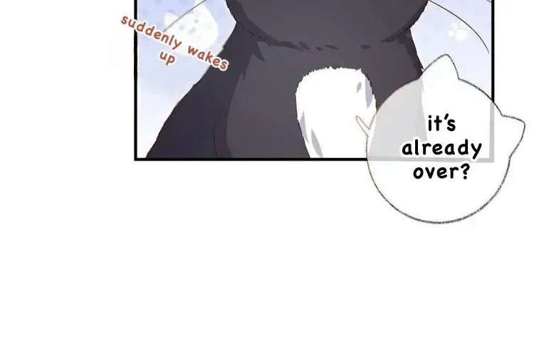 Read Pay Me Back, Mr. Cat chapter 23.1 image 17 on Lezhin