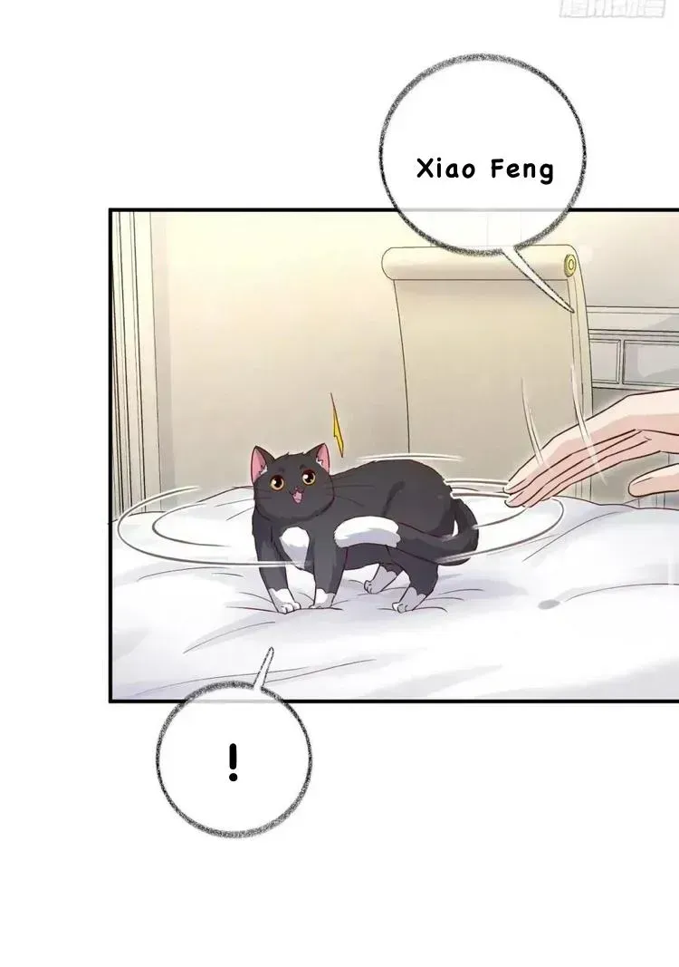 Read Pay Me Back, Mr. Cat chapter 23.2 image 31 on Lezhin