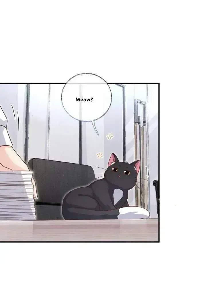 Read Pay Me Back, Mr. Cat chapter 23.3 image 15 on Lezhin