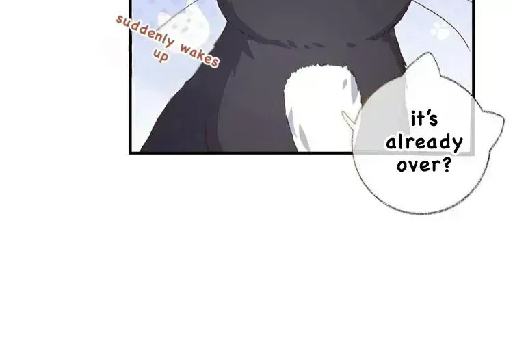 Read Pay Me Back, Mr. Cat chapter 23.3 image 17 on Lezhin