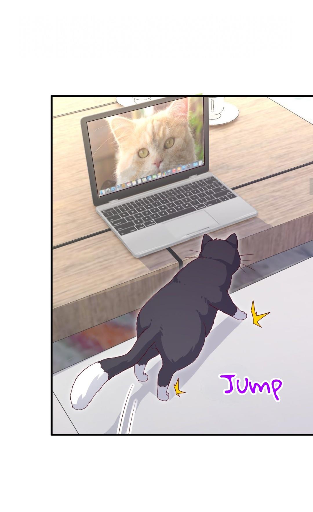 Read Pay Me Back, Mr. Cat chapter 23 image 15 on Lezhin