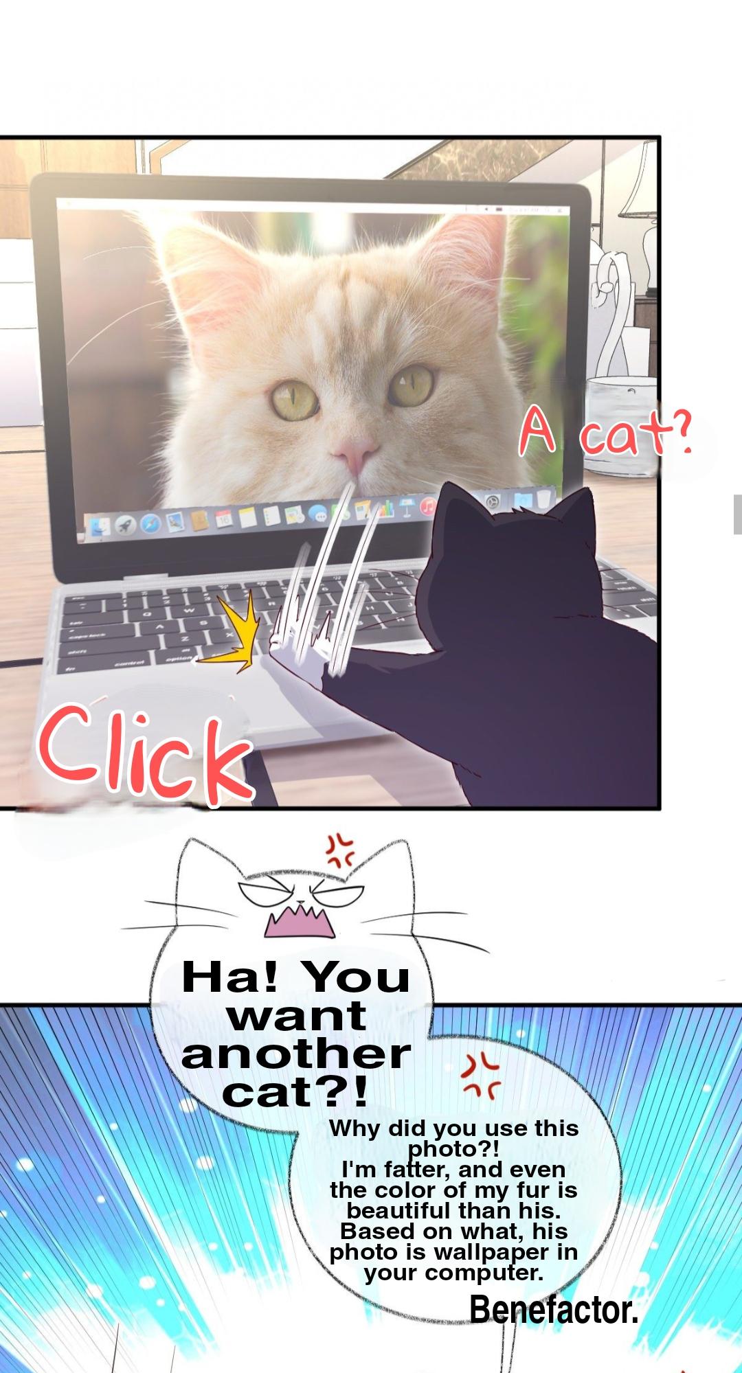Read Pay Me Back, Mr. Cat chapter 23 image 16 on Lezhin