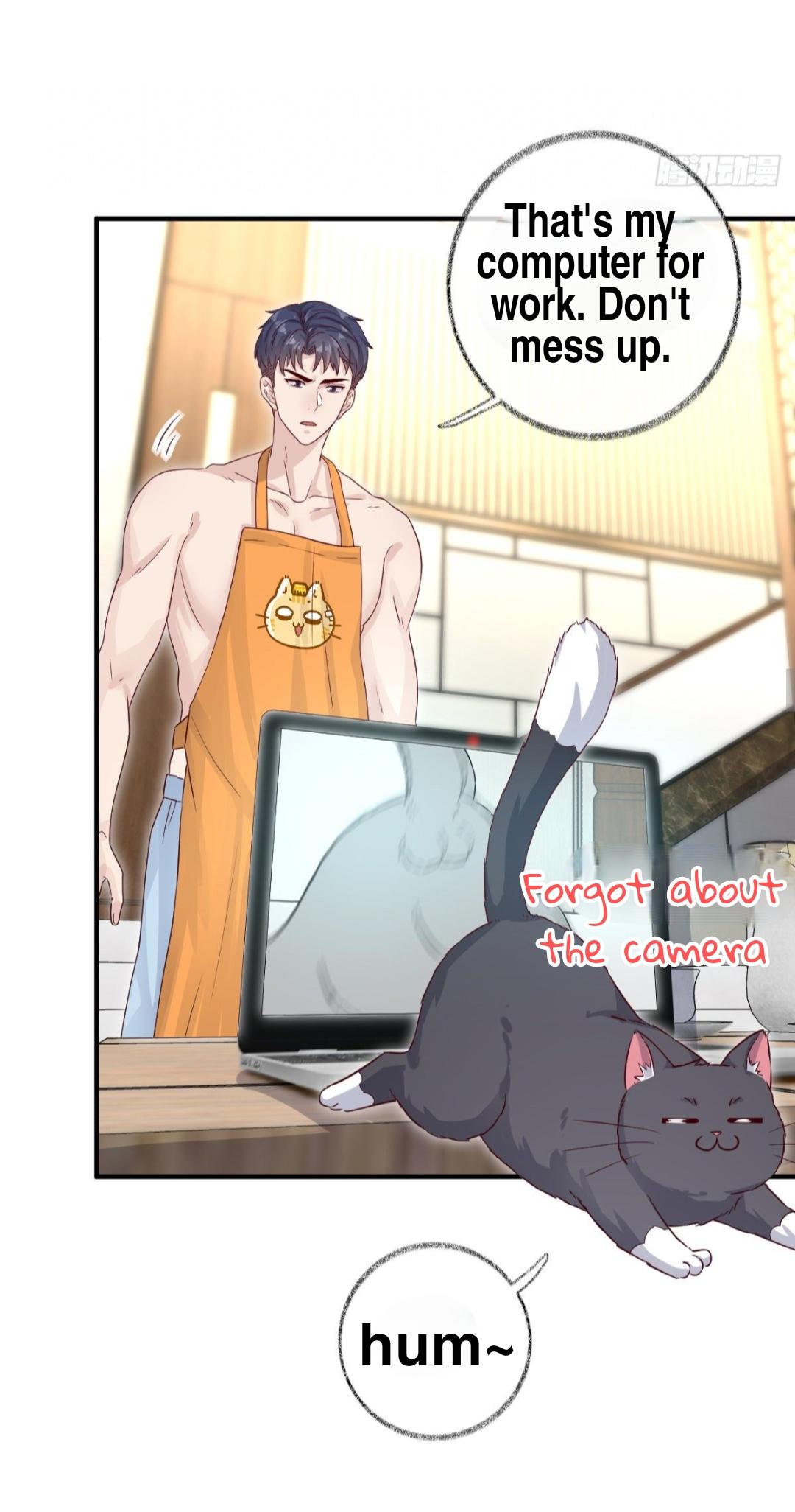 Read Pay Me Back, Mr. Cat chapter 23 image 20 on Lezhin