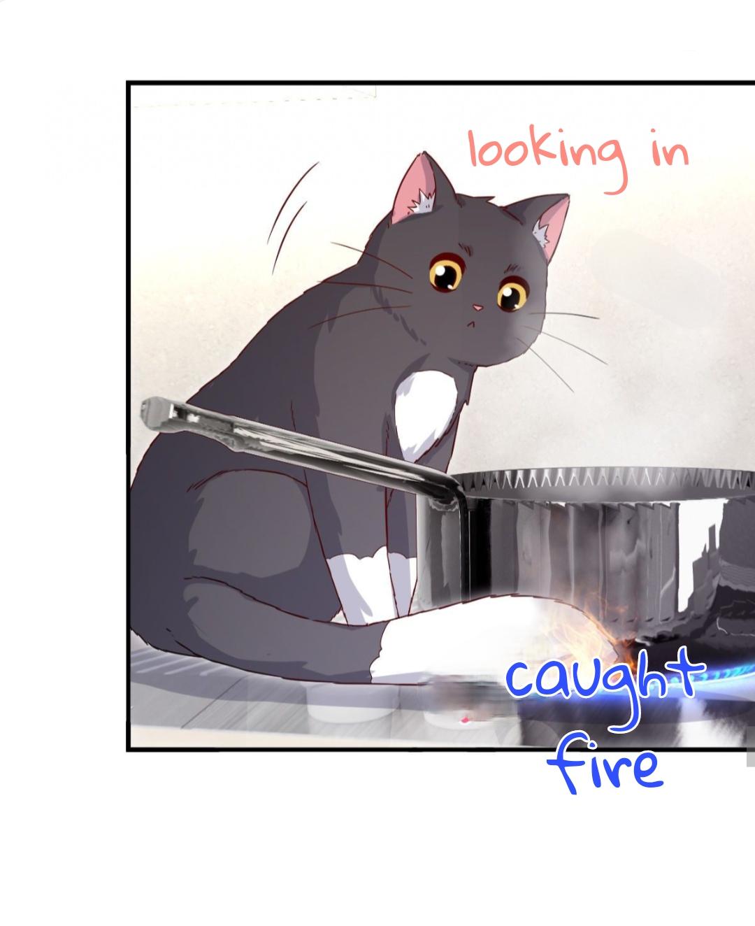 Read Pay Me Back, Mr. Cat chapter 23 image 22 on Lezhin