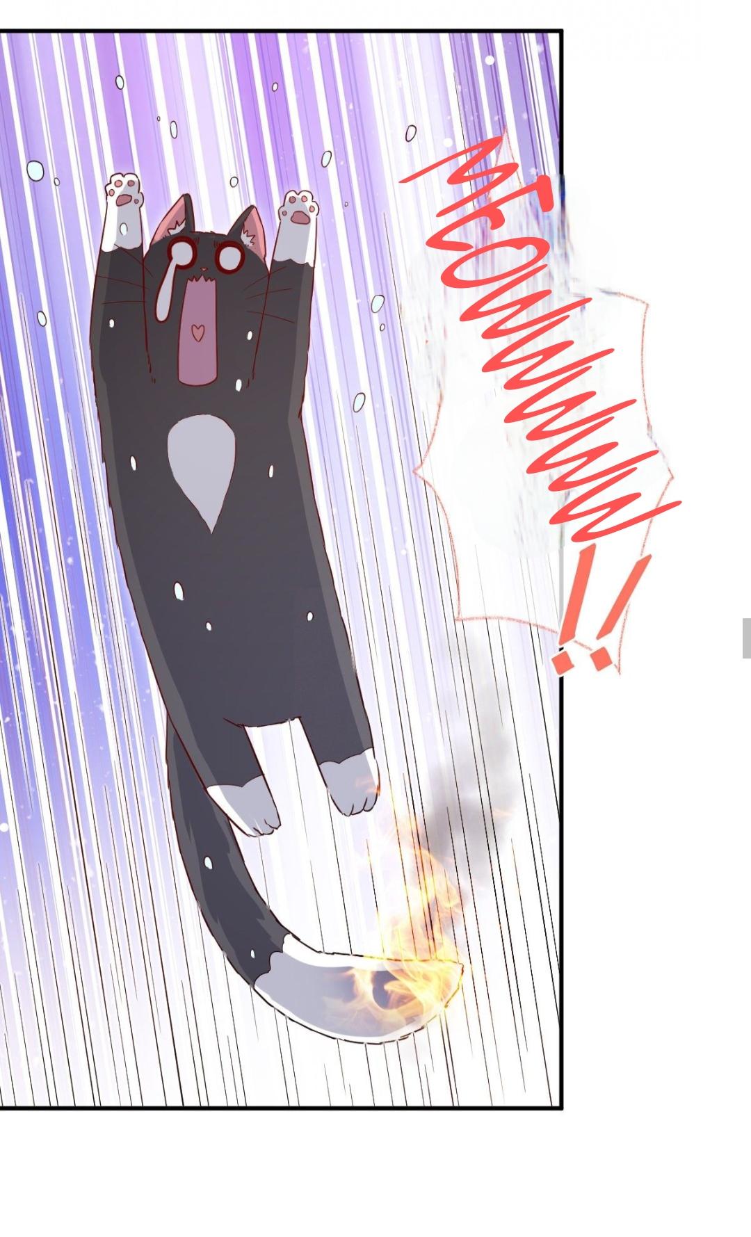 Read Pay Me Back, Mr. Cat chapter 23 image 23 on Lezhin