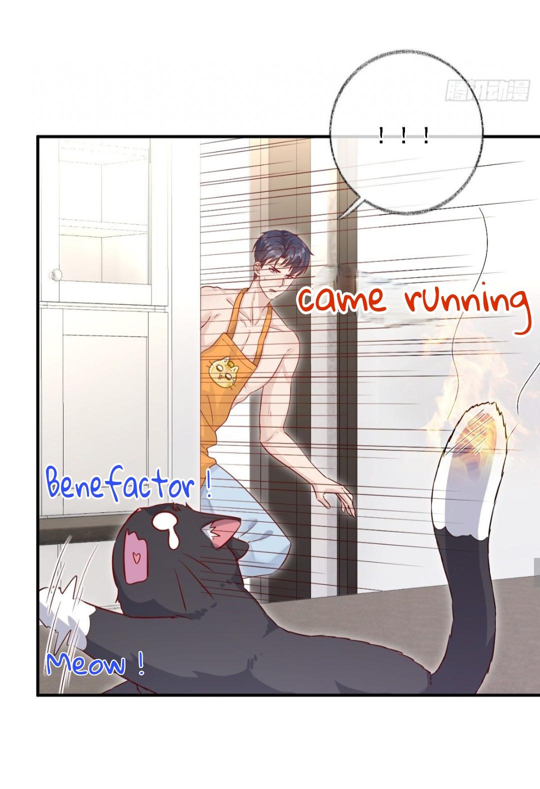 Read Pay Me Back, Mr. Cat chapter 23 image 24 on Lezhin