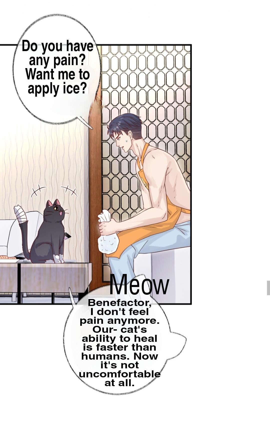 Read Pay Me Back, Mr. Cat chapter 23 image 28 on Lezhin