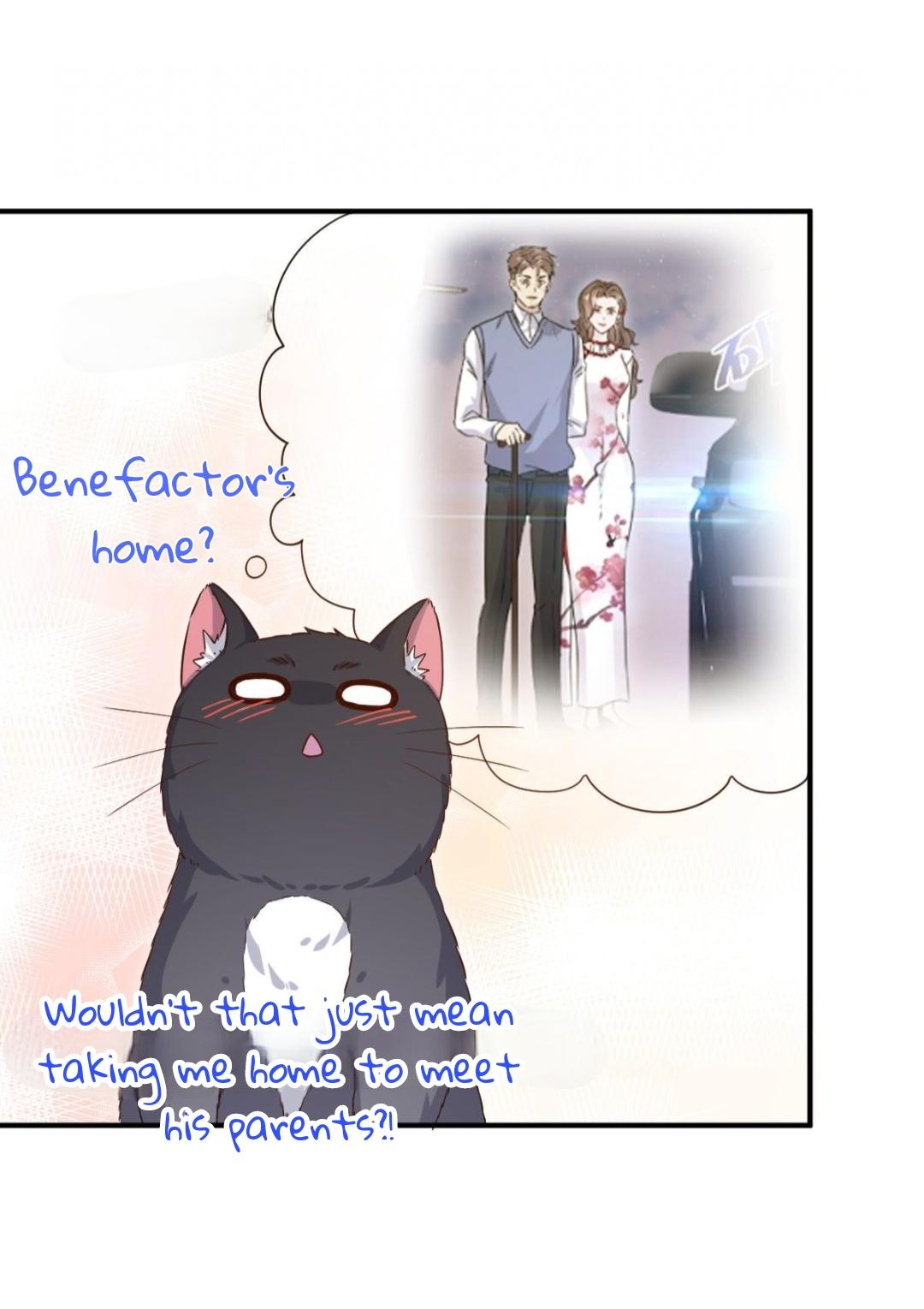 Read Pay Me Back, Mr. Cat chapter 23 image 34 on Lezhin