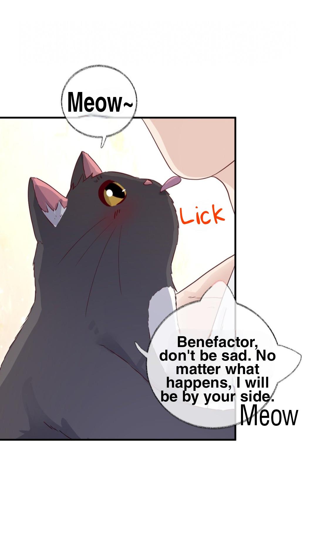 Read Pay Me Back, Mr. Cat chapter 23 image 6 on Lezhin