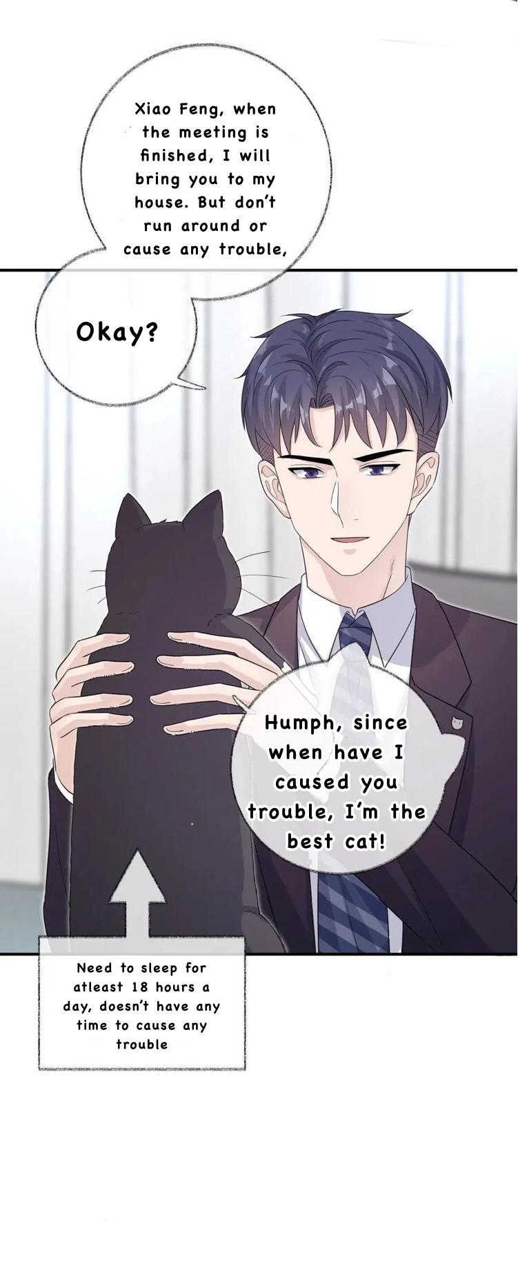 Read Pay Me Back, Mr. Cat chapter 25 image 29 on Lezhin