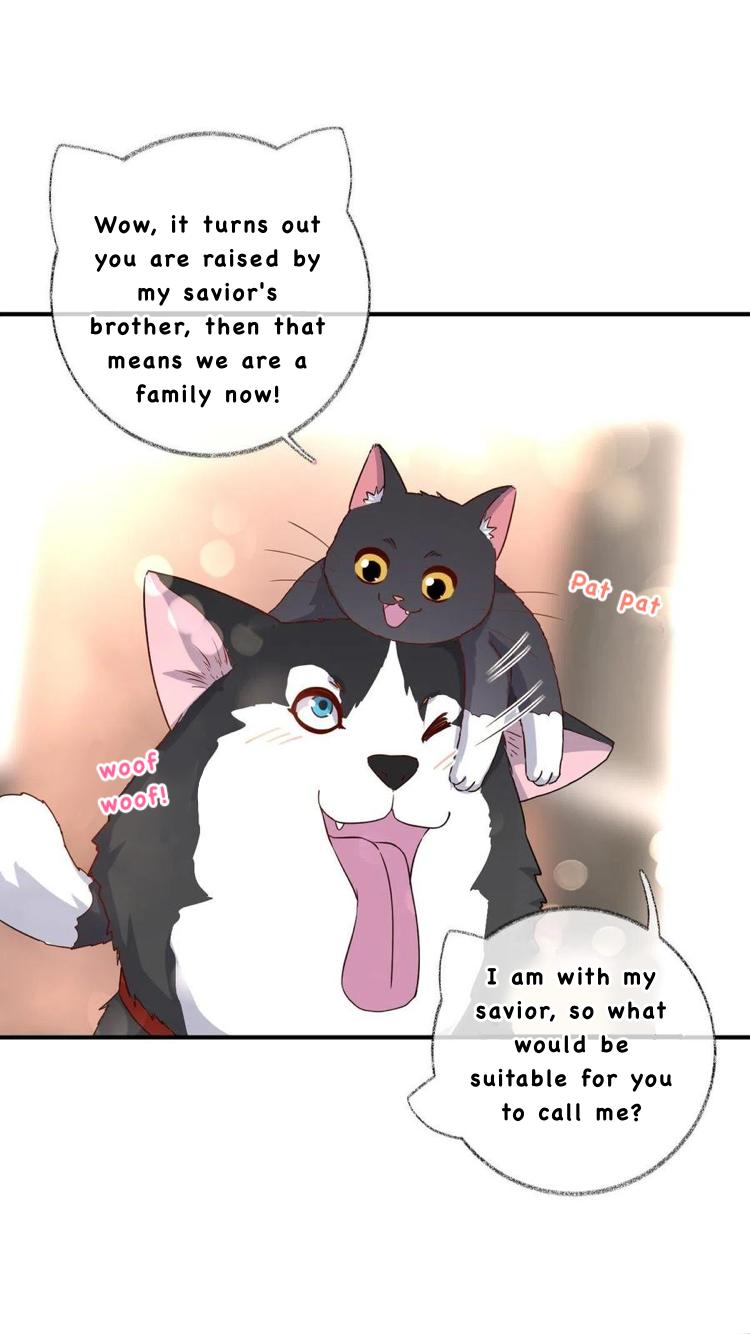 Read Pay Me Back, Mr. Cat chapter 26 image 13 on Lezhin