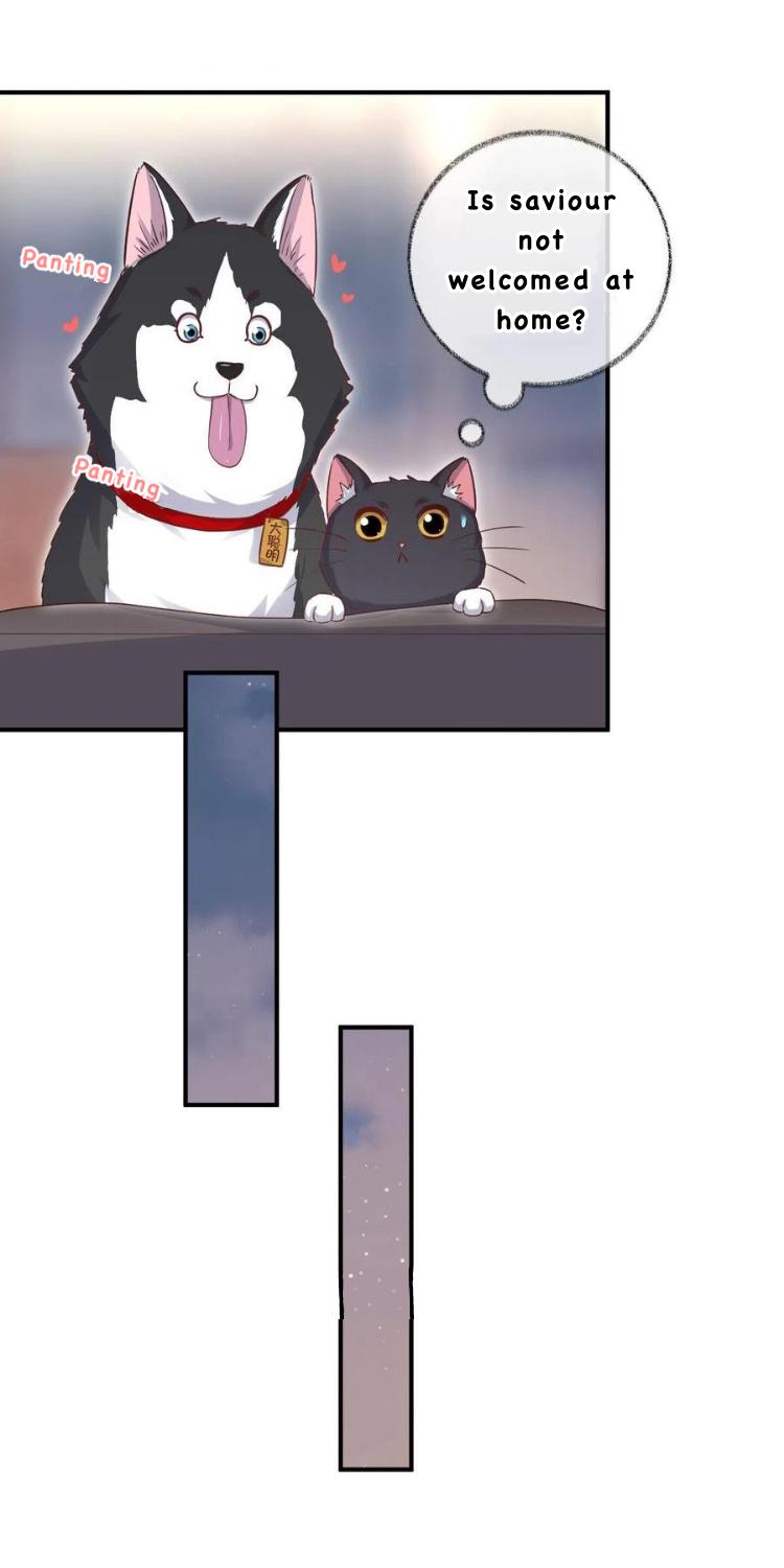 Read Pay Me Back, Mr. Cat chapter 26 image 18 on Lezhin