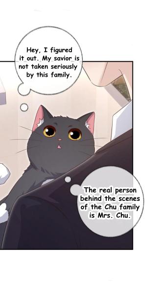 Read Pay Me Back, Mr. Cat chapter 26 image 23 on Lezhin