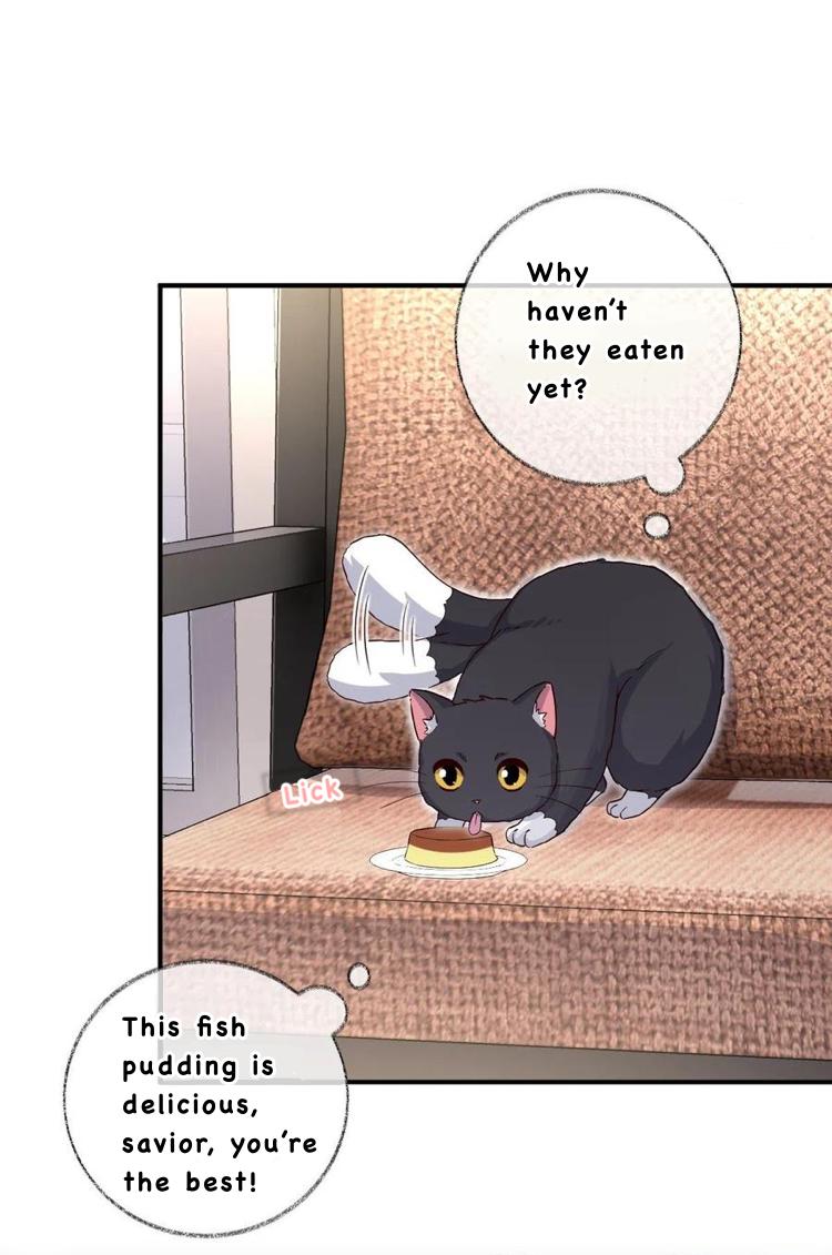 Read Pay Me Back, Mr. Cat chapter 26 image 3 on Lezhin