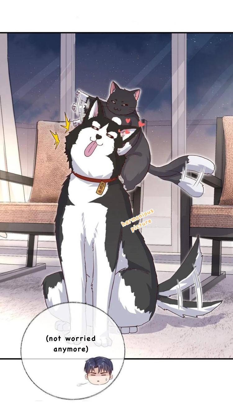 Read Pay Me Back, Mr. Cat chapter 26 image 8 on Lezhin